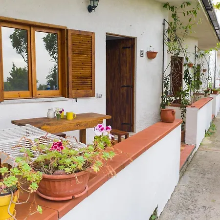 Apartment Litto Tropea